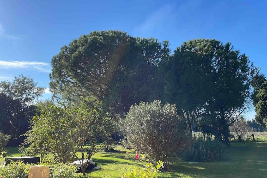 Gite Mas Provencal Tarascon Ngoại thất bức ảnh