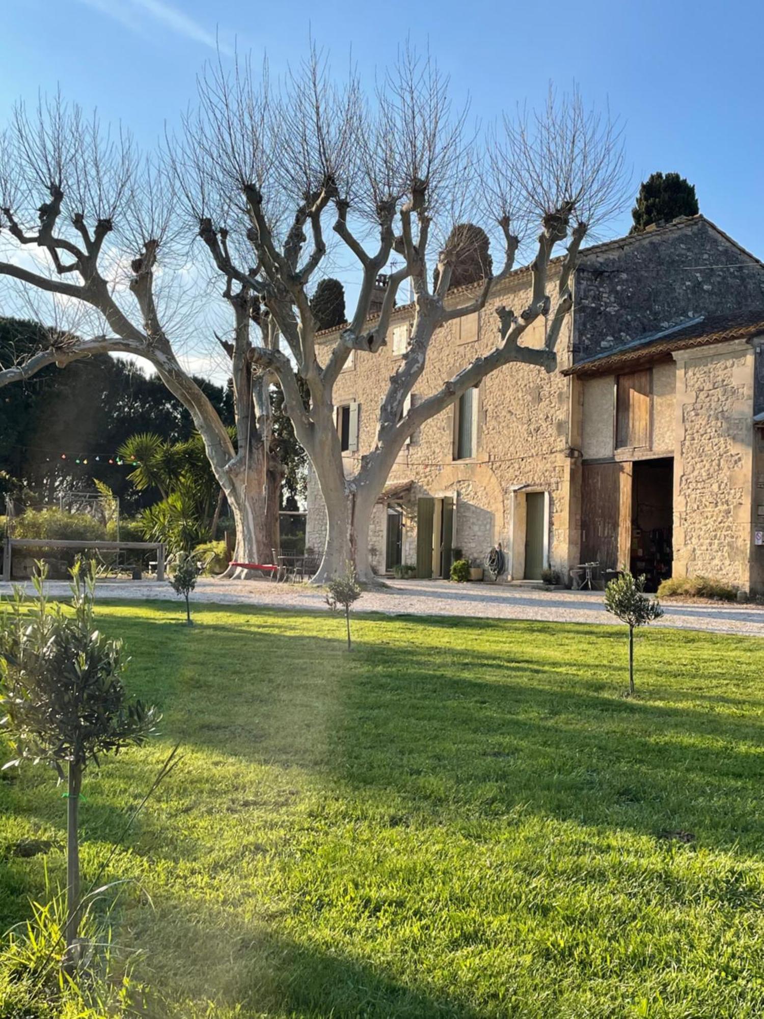 Gite Mas Provencal Tarascon Ngoại thất bức ảnh